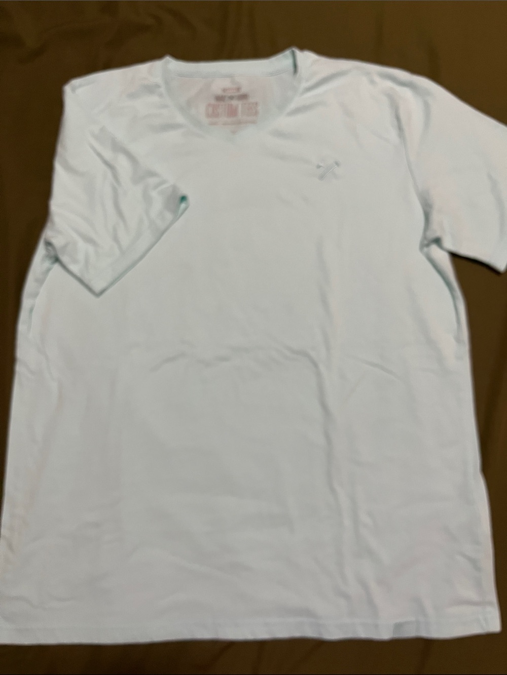 Men's Short Sleeve V-Neck Tee in Pale Blue